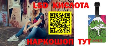 тгк Новокубанск