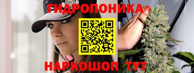 тгк Новокубанск