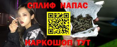 тгк Новокубанск