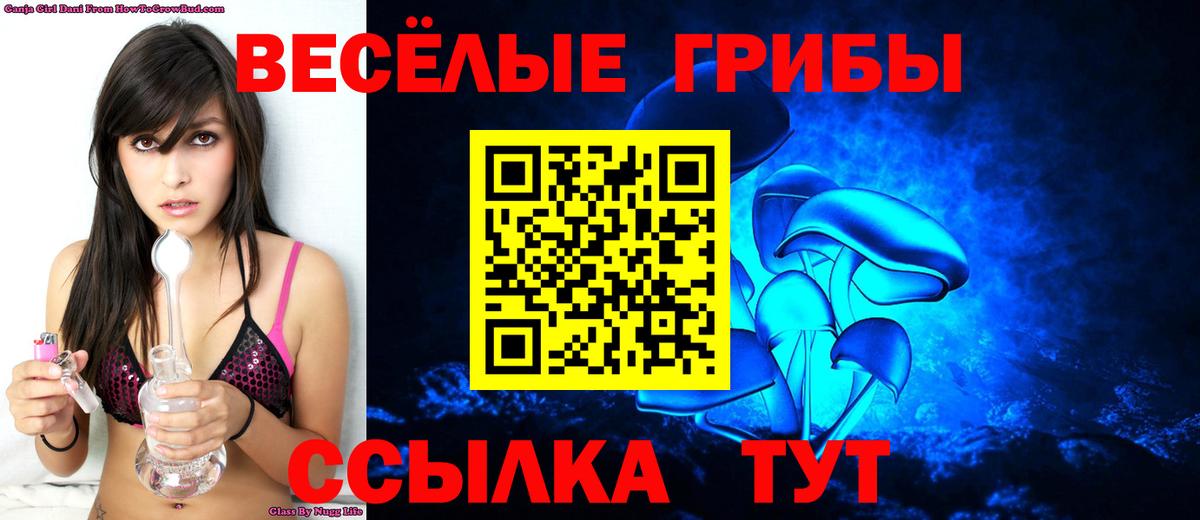Севастополь  купить наркотик  Вход с VPN  Псилоцибиновые грибы прущие грибы 